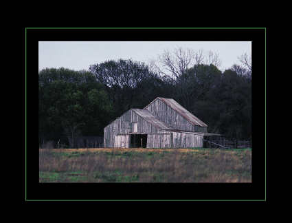 Dana Todd Gallery