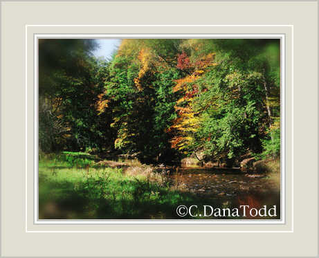 Dana Todd Gallery