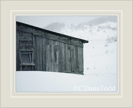 Dana Todd Gallery