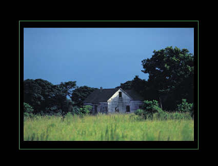 Dana Todd Gallery