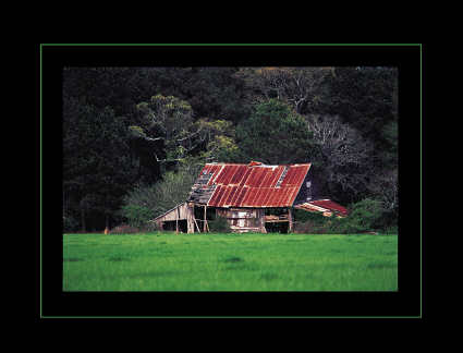 Dana Todd Gallery