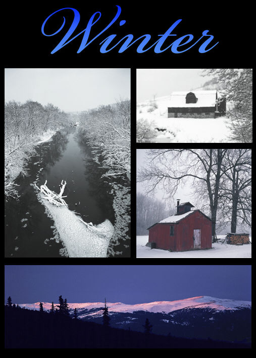 winter.jpg (72817 bytes)